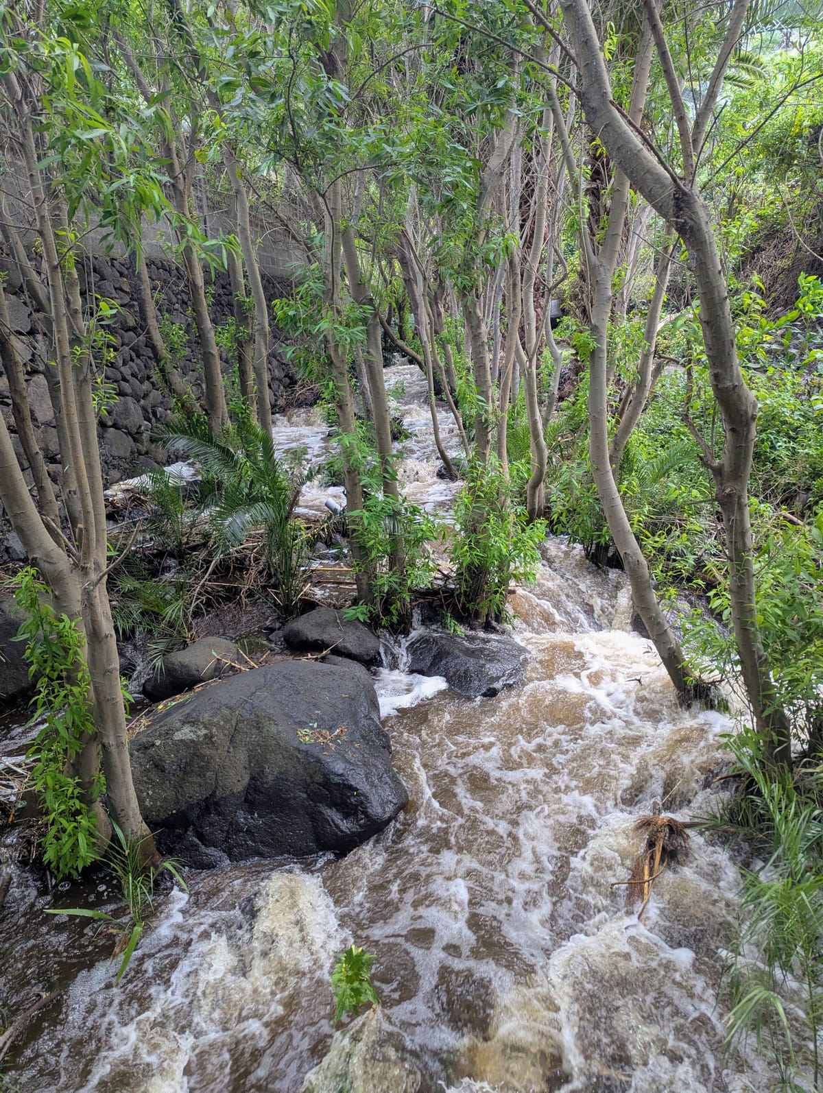 Masca, Meer und Bergwelt