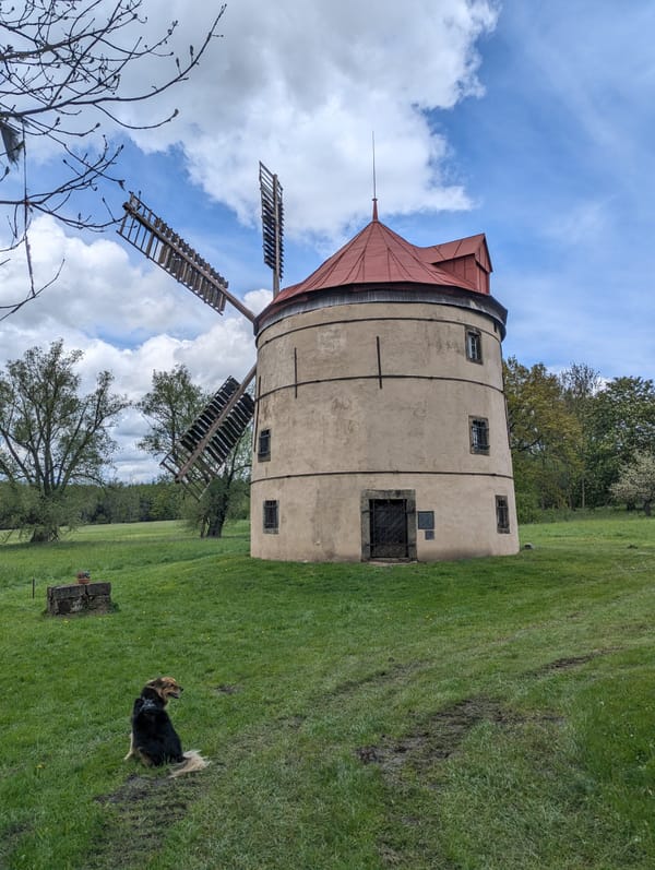 Wandermäuse erkunden Felsenwelt